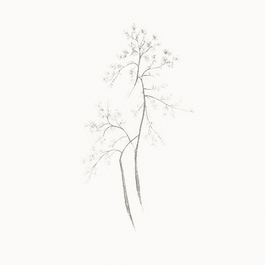 Tattoo design inspiration